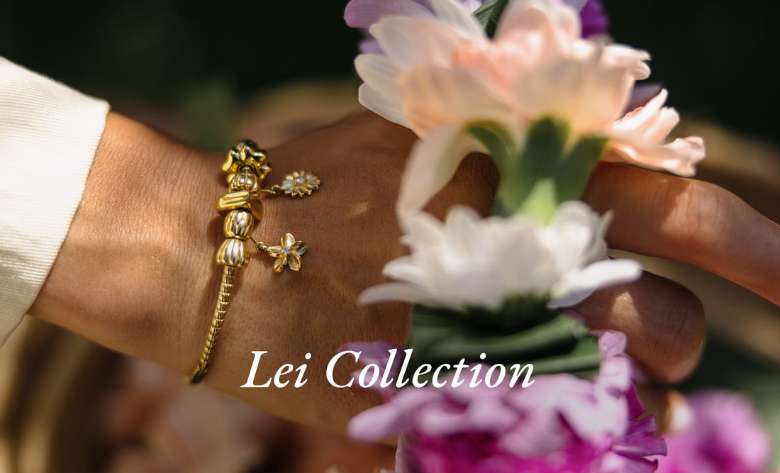 Entdecke die LEI Collection