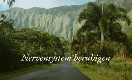 Nervensystem beruhigen & Vagusnerv aktivieren: 10 effektive Wege für mehr Ruhe, Balance & innere Stärke