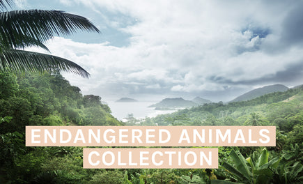 Endangered Animals Collection