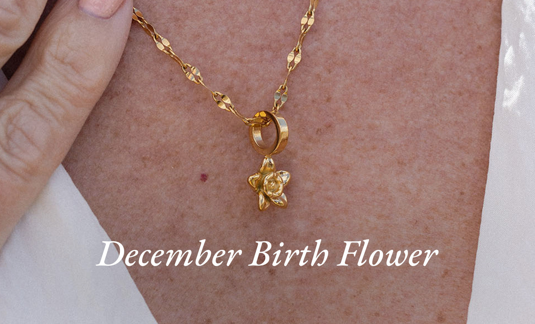 Geburtsblume Dezember: Die Narzisse und ihre Bedeutung