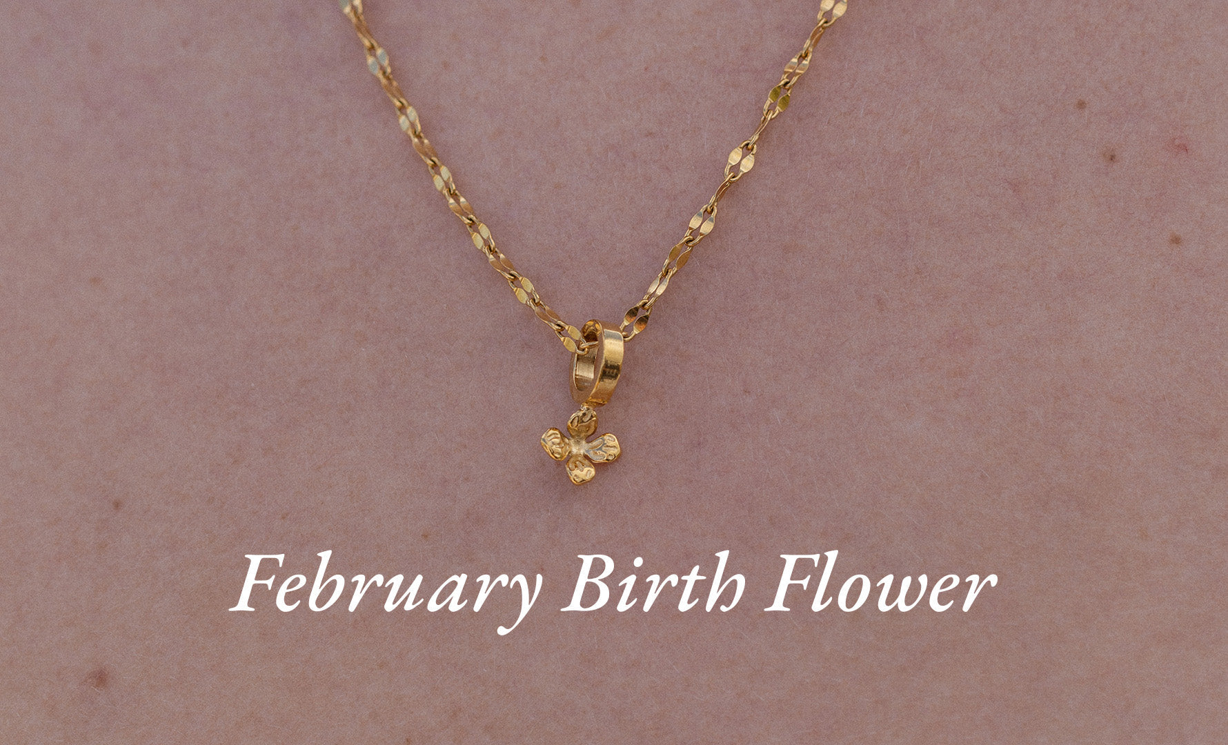 Geburtsblume Februar: Das Veilchen und seine Bedeutung