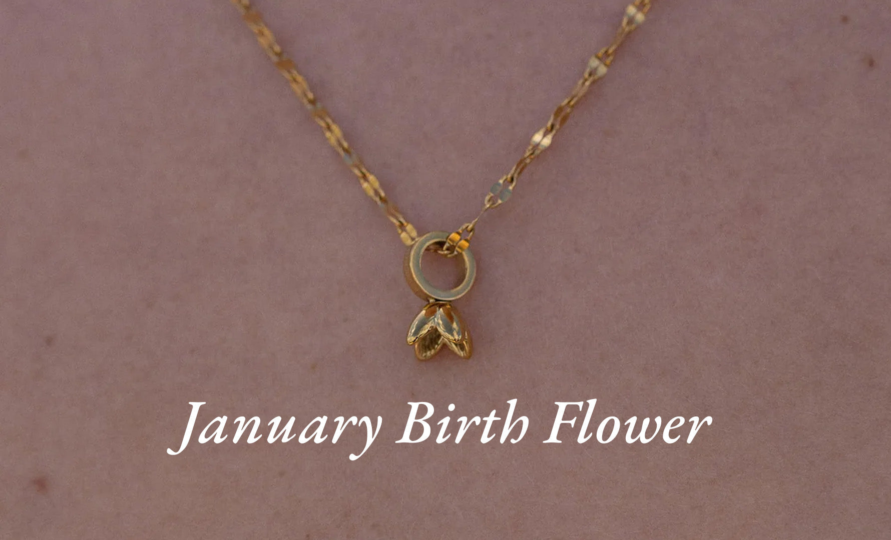 Geburtsblume Januar: Das Schneeglöckchen und seine Bedeutung