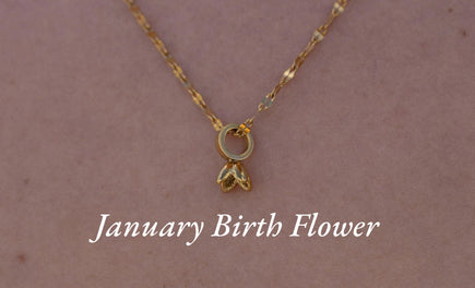 Geburtsblume Januar: Das Schneeglöckchen und seine Bedeutung