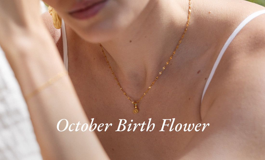 Geburtsblume Oktober: Die farbenfrohe Cosmea und ihre Bedeutung