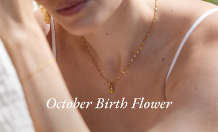 Geburtsblume Oktober: Die farbenfrohe Cosmea und ihre Bedeutung