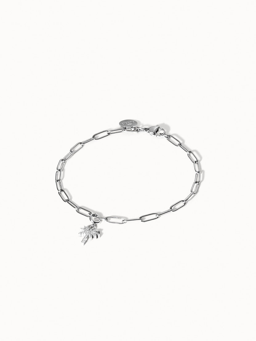 {"color":"Silver"}
