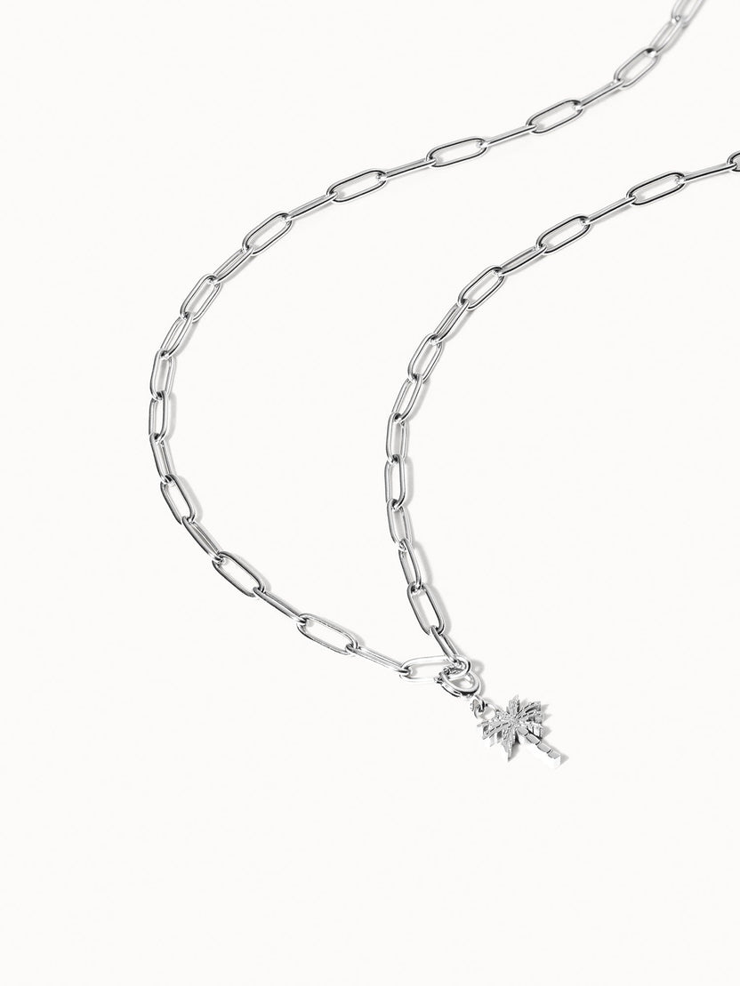{"color":"Silver"}