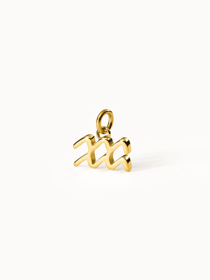 Wassermann Zodiac Charm aus 18K Gold Edelstahl, klar und elegant vor hellem Hintergrund von PURELEI