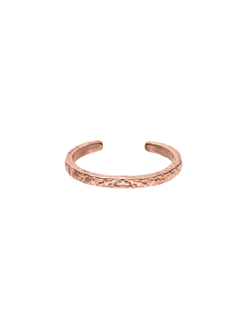 Volcano Ring (Earth)