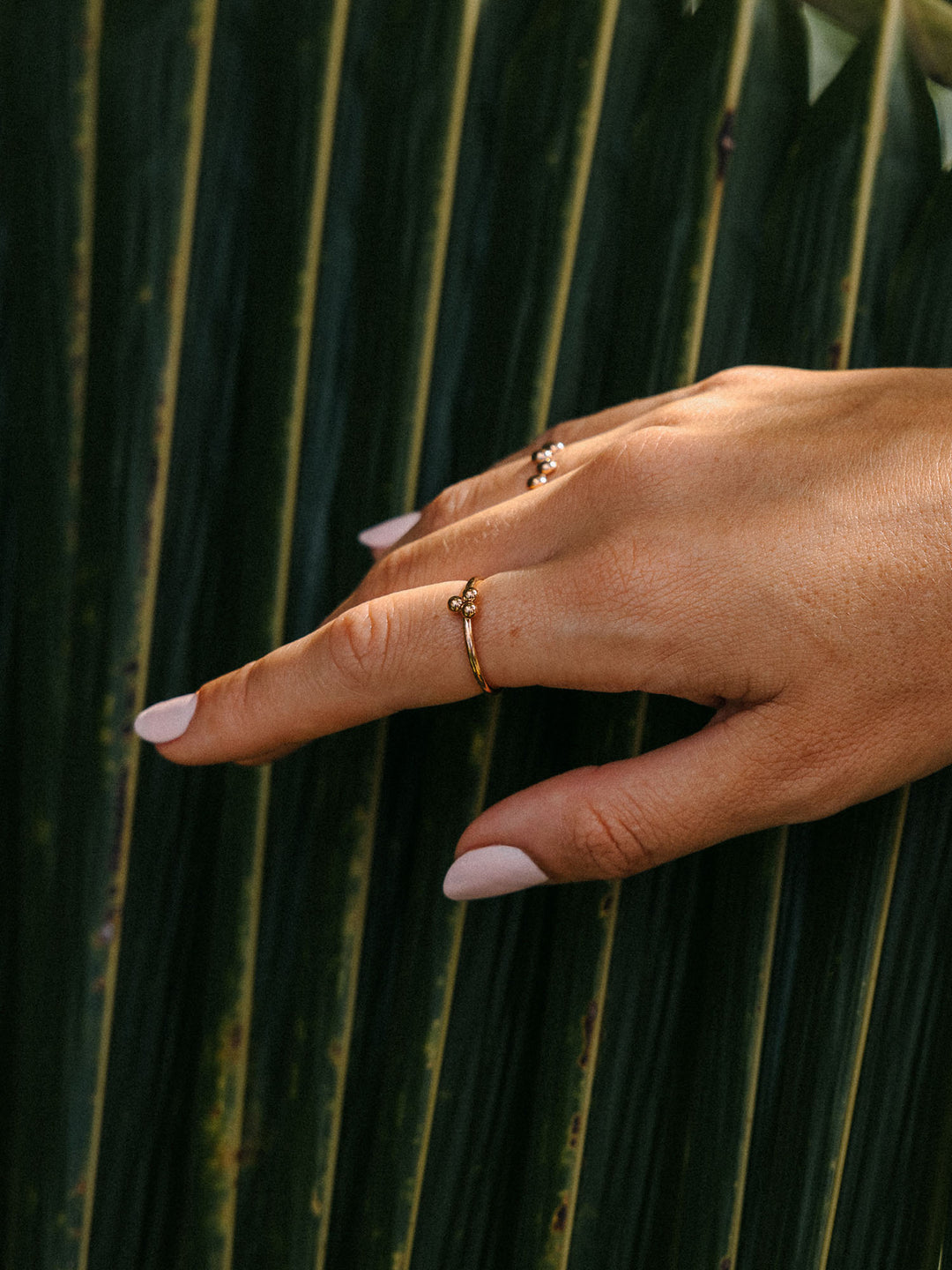 Seed Ring – DE PURELEI