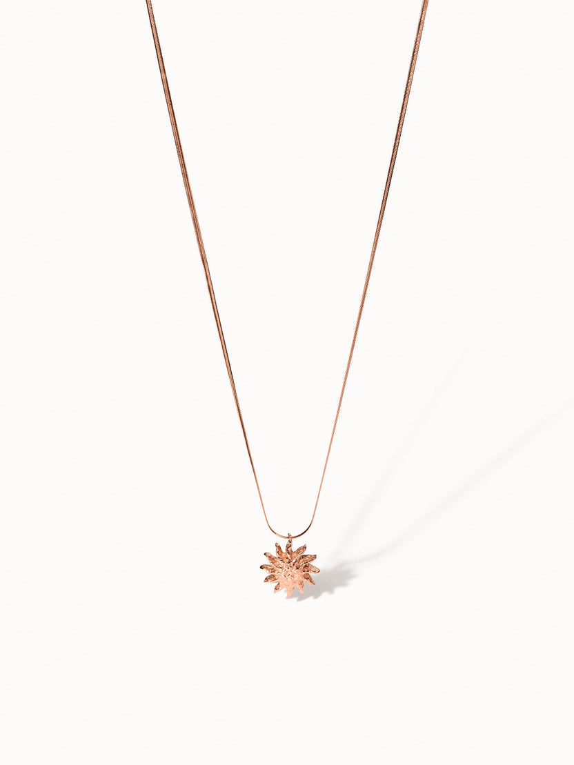 PURELEI Iconic Sun Kette in roségold mit filigraner Snake-Chain und strukturierter Sonnen-Anhänger, elegant und feminin