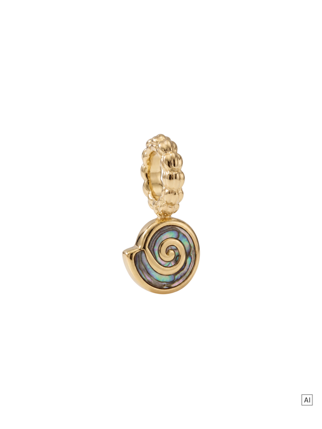 files/26317-Charm-Abalone-Shell_GG_3x4_60afde4a-818f-4ec7-8ce6-f1913bc2d829.png