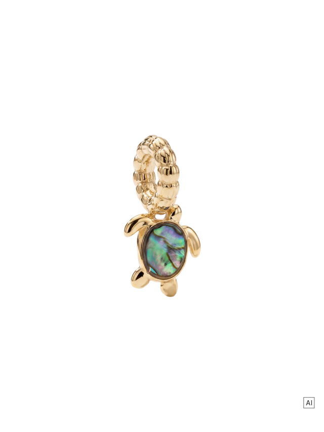 files/26317-Charm-Abalone-Turtle_GG_3x4_b61bbc8c-f120-4801-9861-b7943ccde309.png