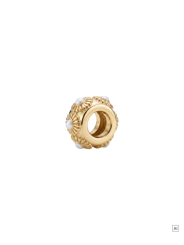 files/26317-Charm-Nautilus_GG_3x4_72297520-9c3d-40ad-b0ec-cf1d28721267.png