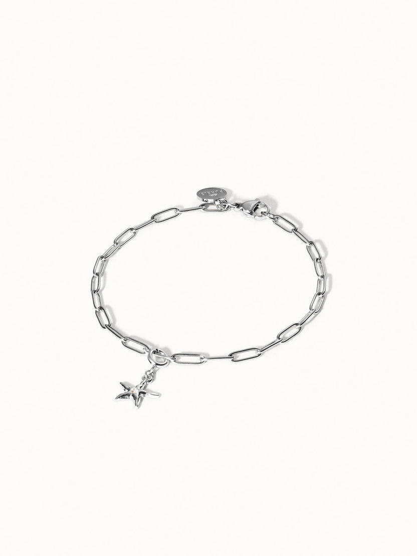 {"color":"Silver"}