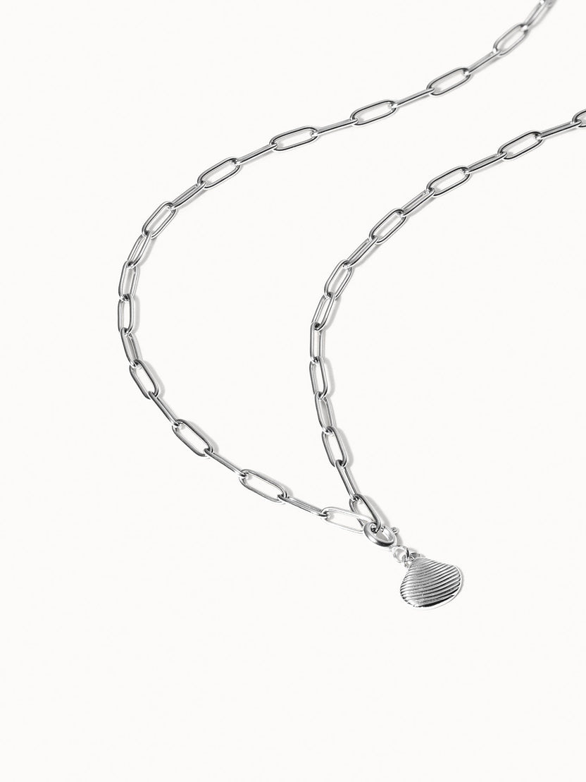 {"color":"Silver"}