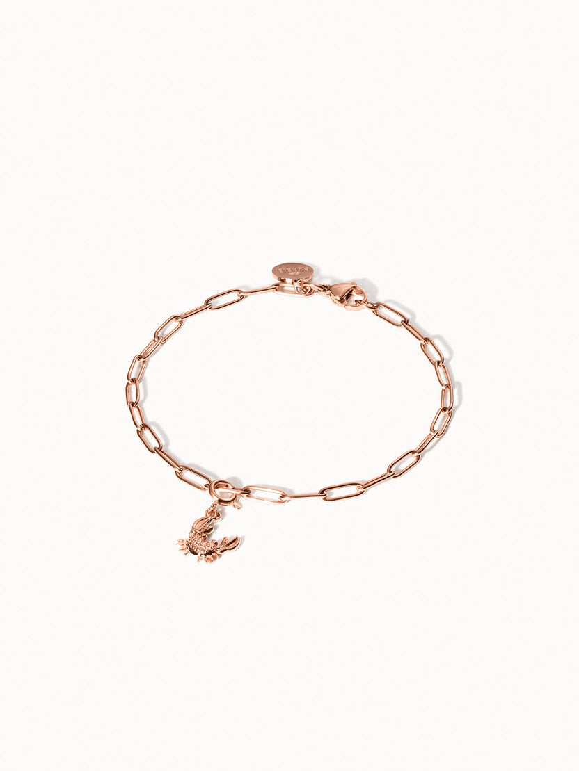 {"color":"Rosegold"}