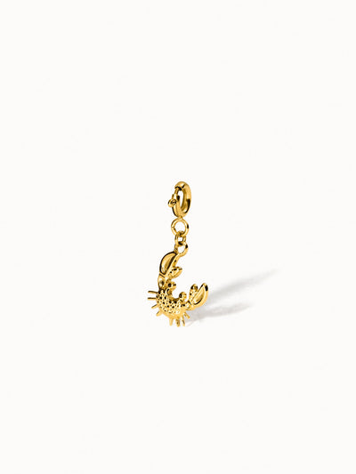 {"color":"Gold", "type":"lead_image"}