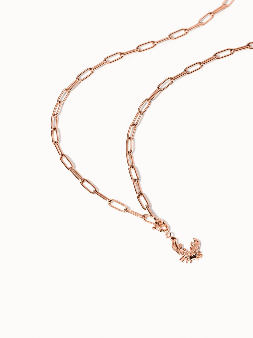 {"color":"Rosegold"}