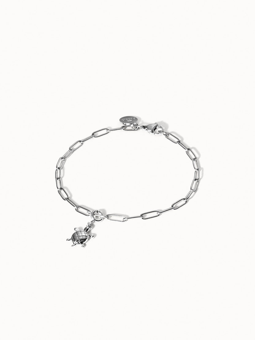 {"color":"Silver"}