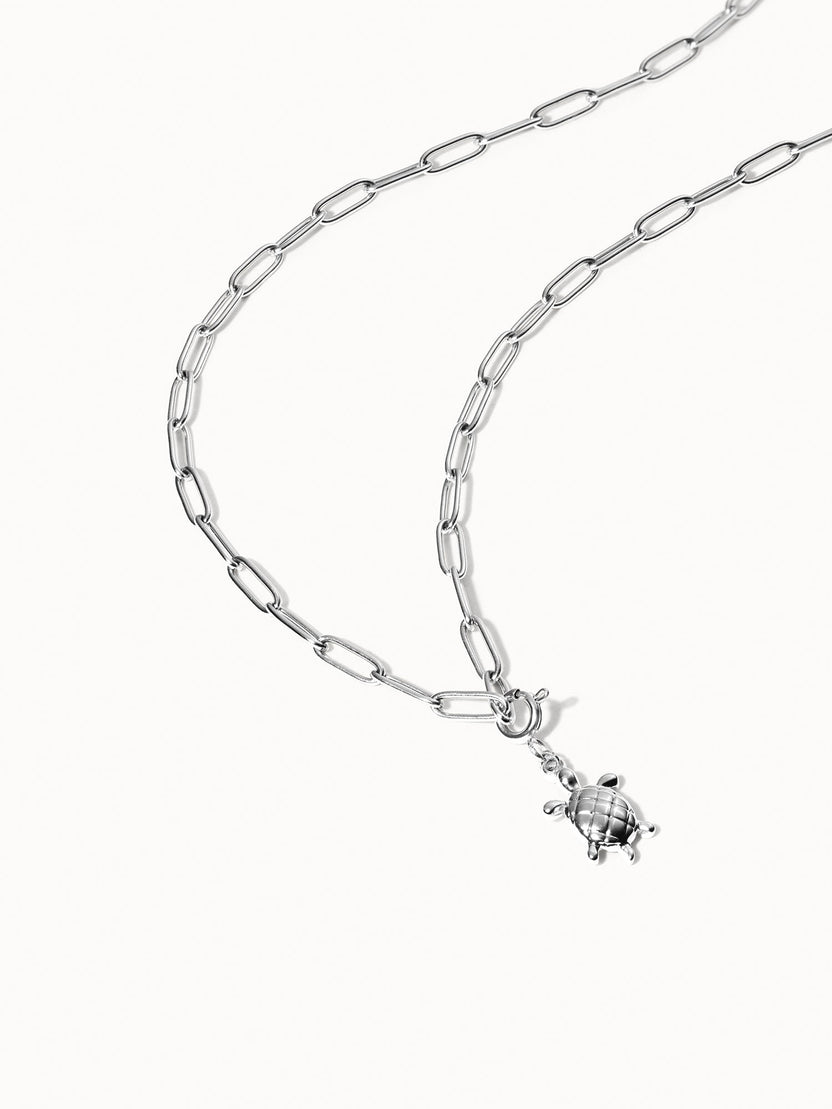 {"color":"Silver"}