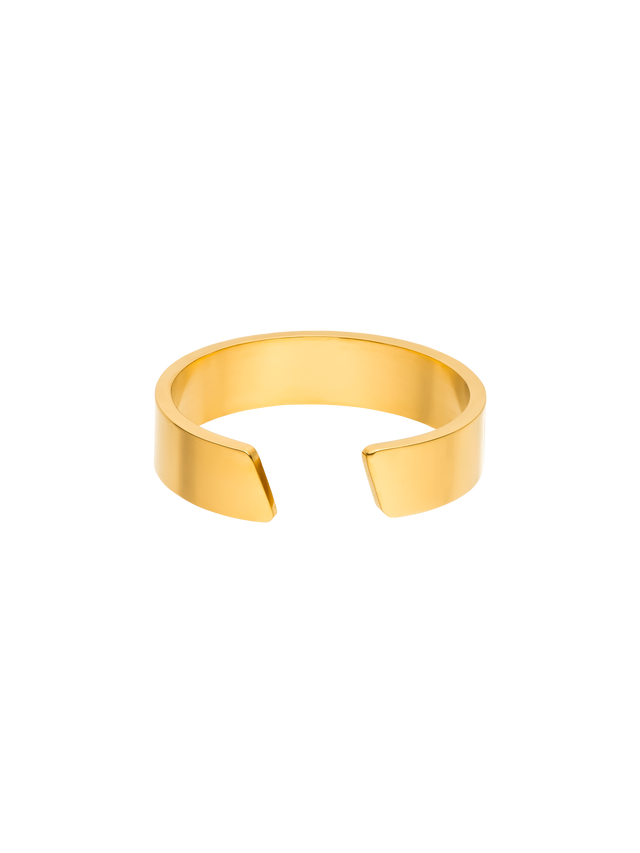files/A250401-Adj-Ring-Pono_0002_gg.png