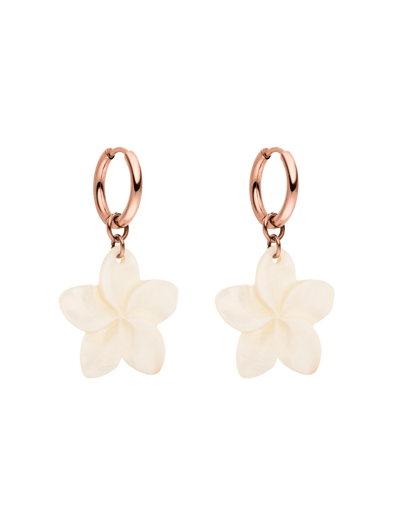 Shiny Plumeria Creole