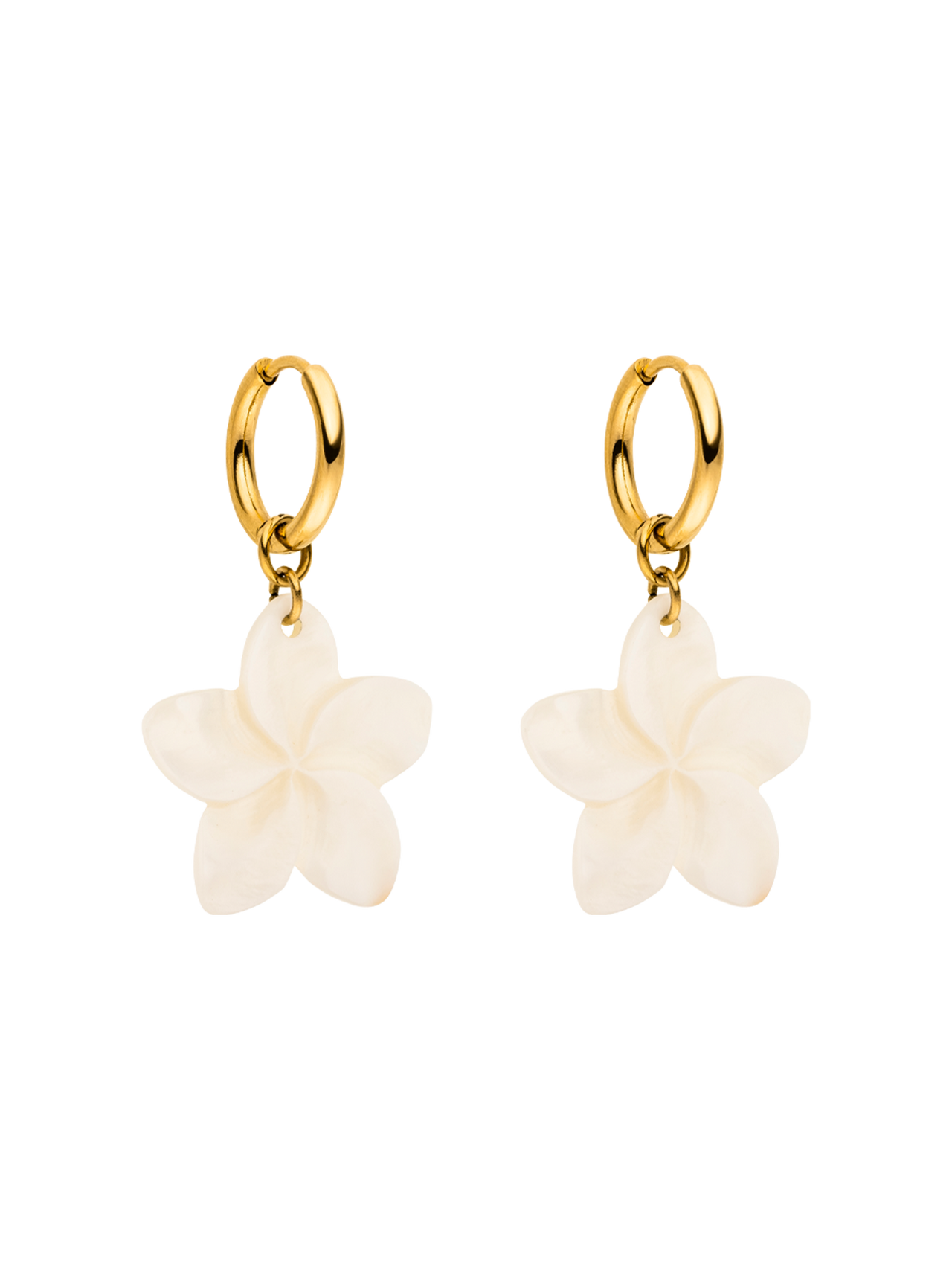 Shiny Plumeria Creole
