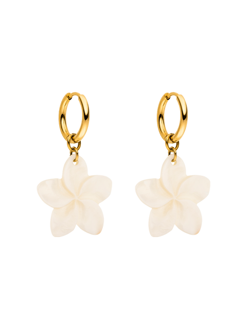 Shiny Plumeria Creole