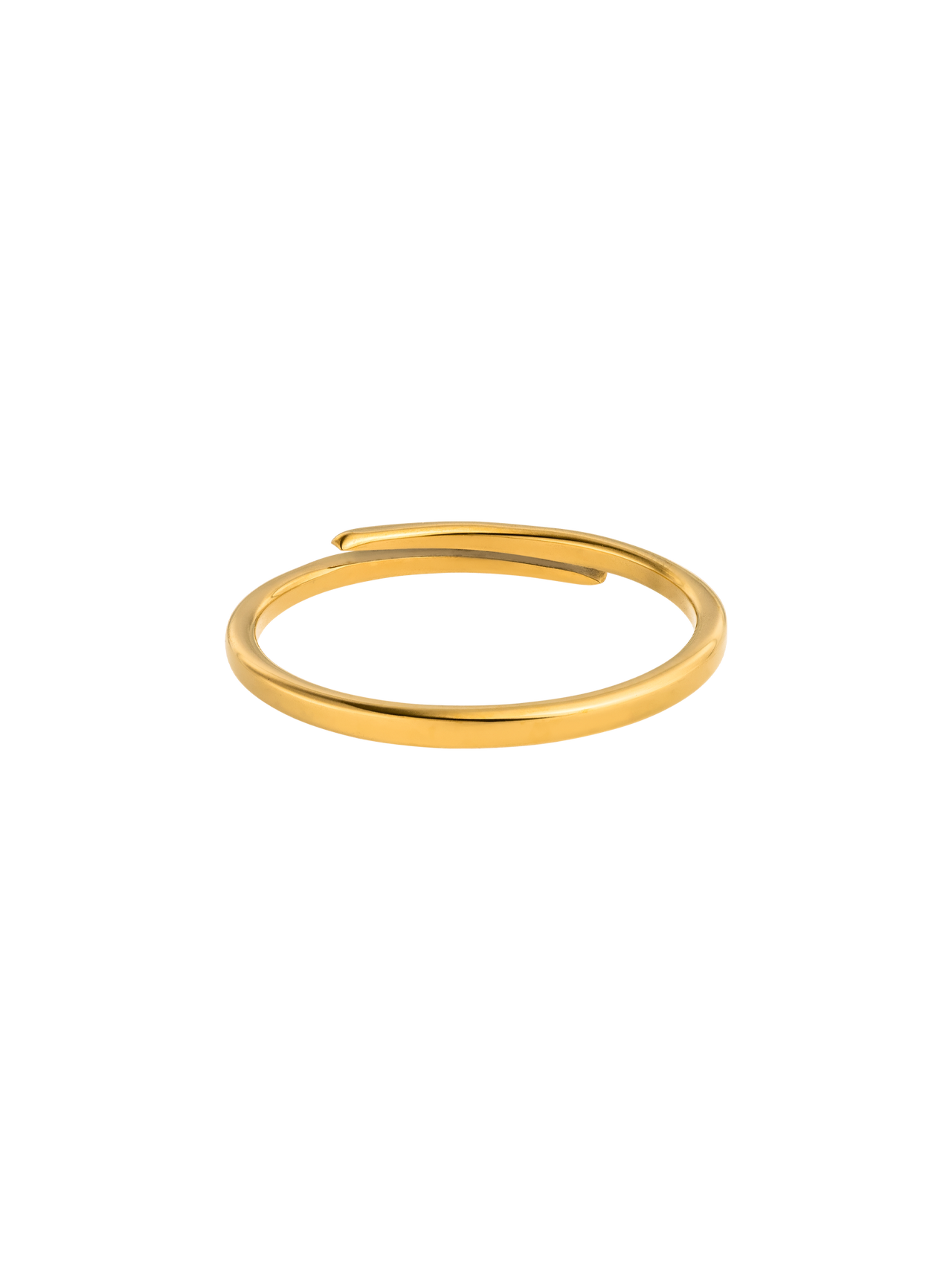 Forever Adjustable Ring