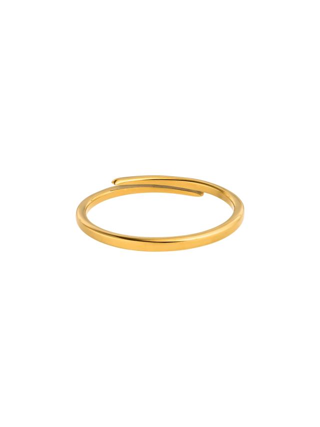 files/A25241-Forever-Ring_0006_gg.png