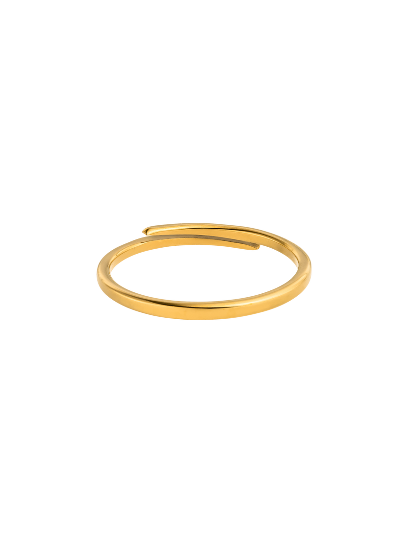 Forever Adjustable Ring