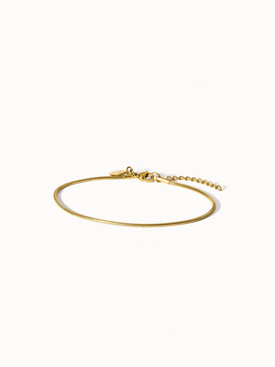 Sleek Anklet