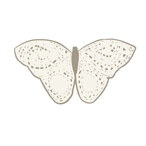 Filigraner Schmetterling in hellem Design von PURELEI, inspiriert von der Natur.