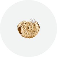 LEI Charms