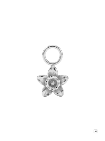 Nazisse Ohrring-Charm 
- Geburtsblume Dezember