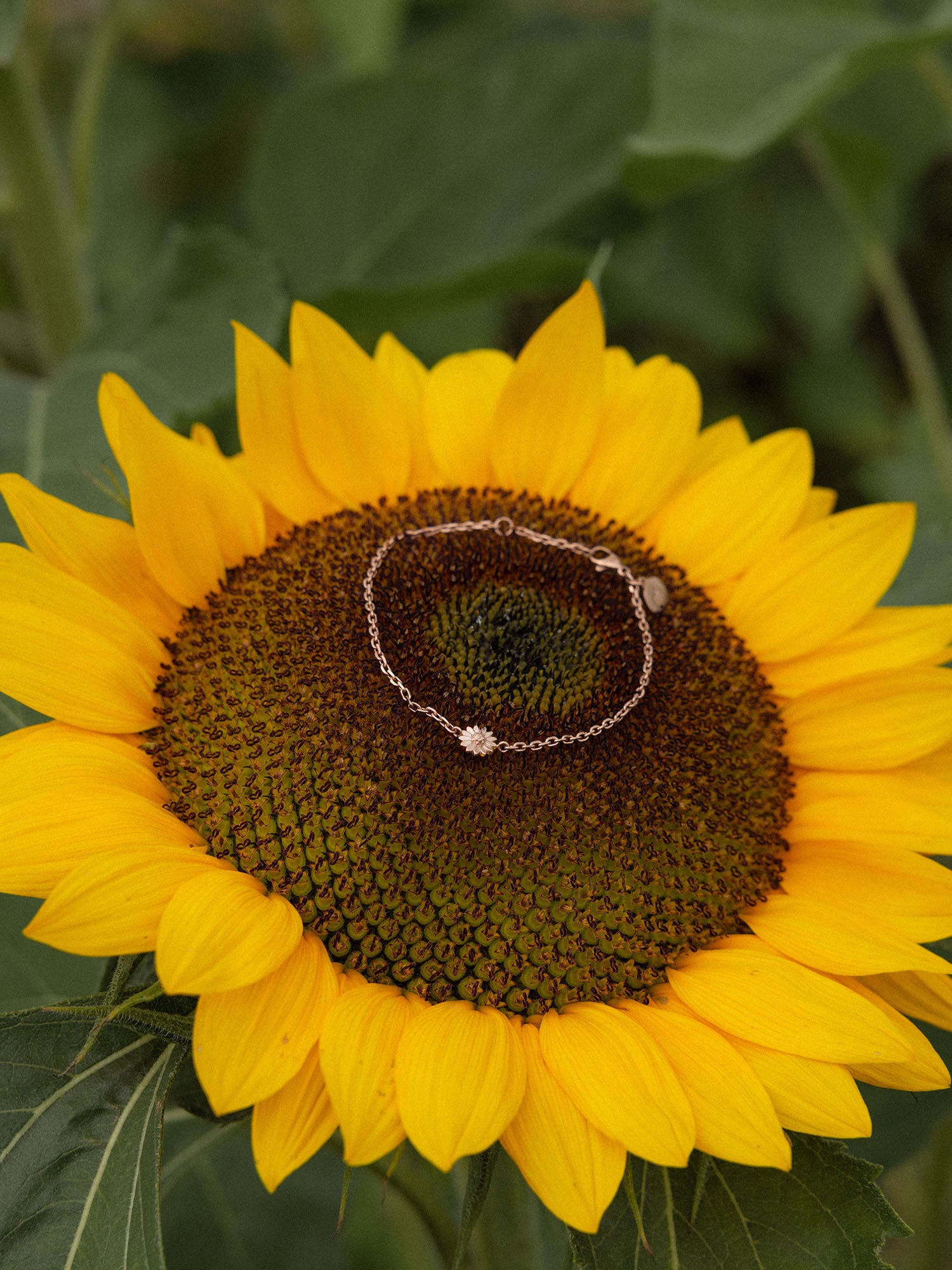 Blooming Armband