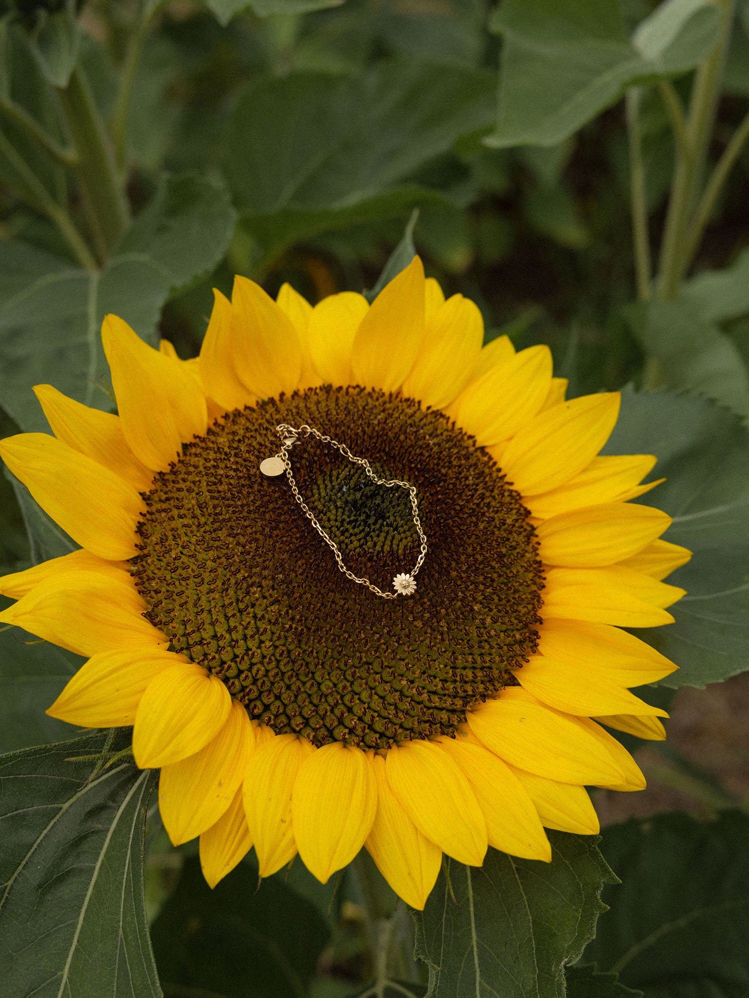 Bracelet Blooming