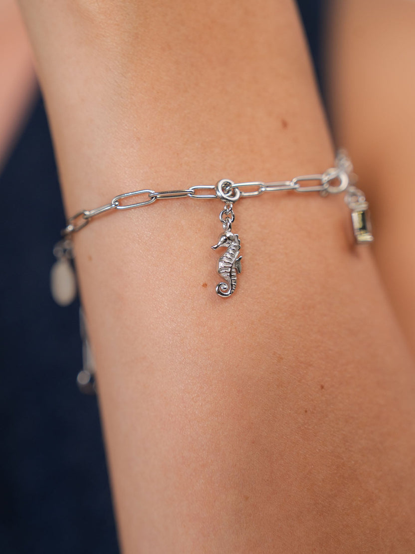 {"color":"Silver"}