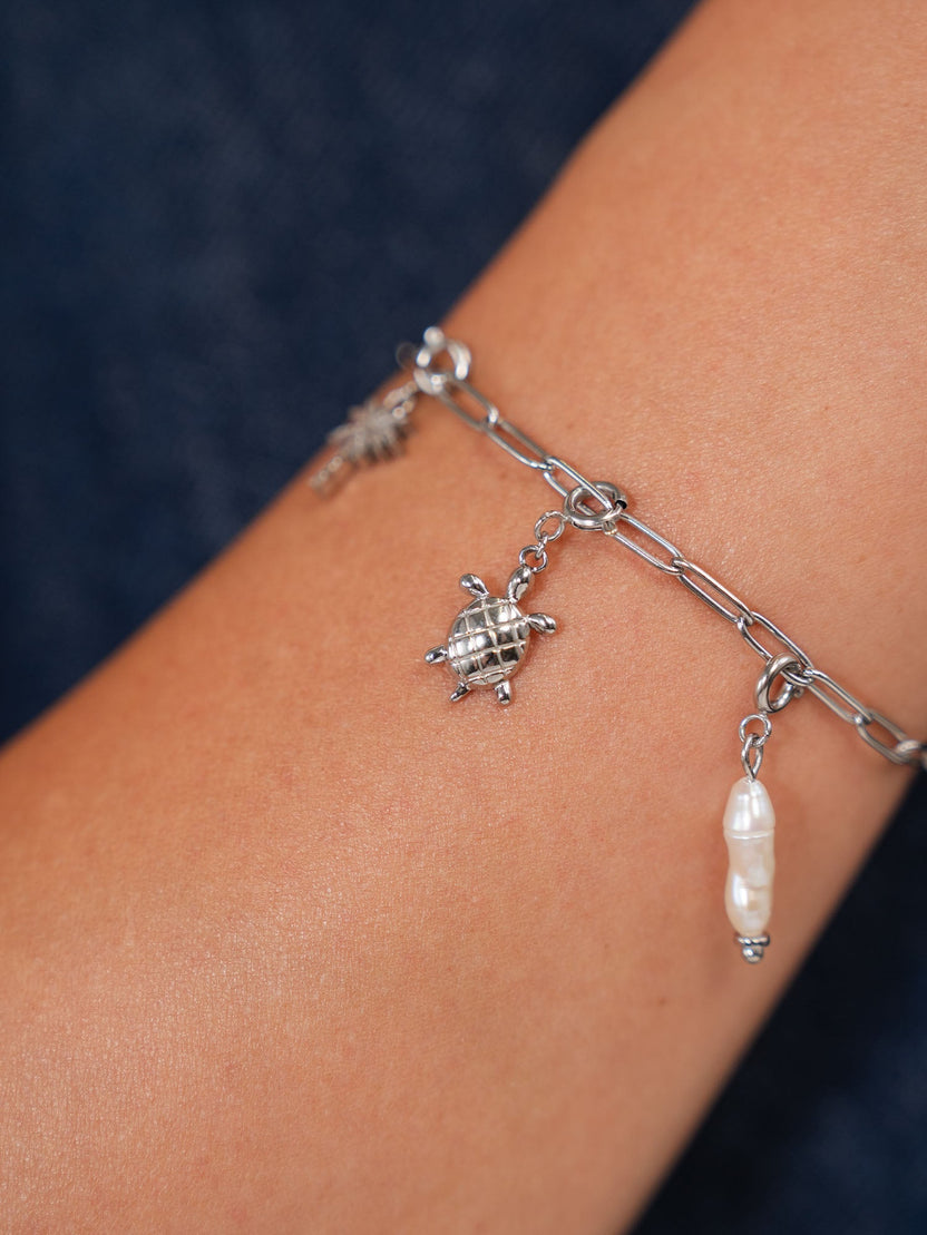 {"color":"Silver"}