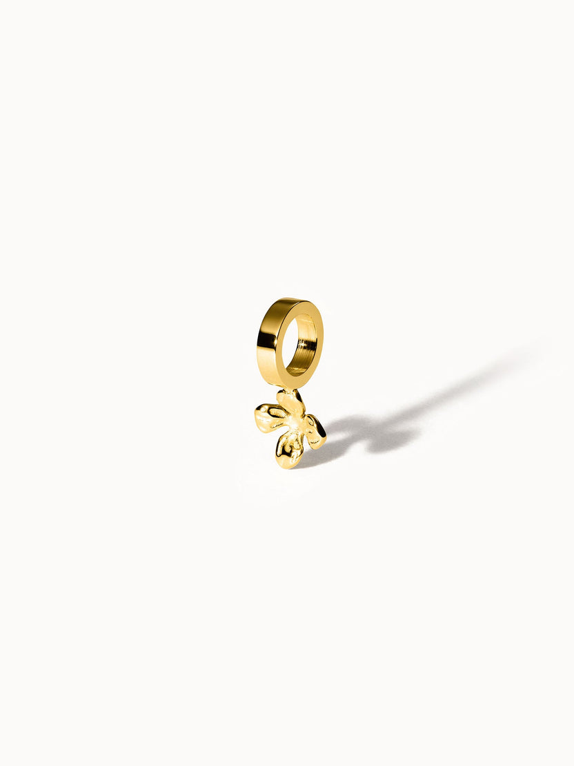 {"color":"Gold", "type":"lead_image"}