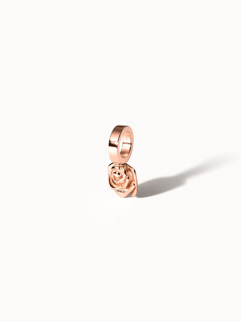 {"color":"Rosegold", "type":"lead_image"}