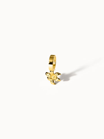 {"color":"Gold", "type":"lead_image"}