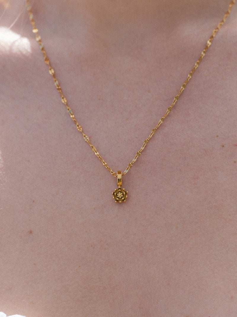 {"color":"Gold", "type":"lead_image"}