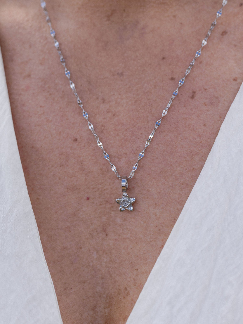 {"color":"Silver"}