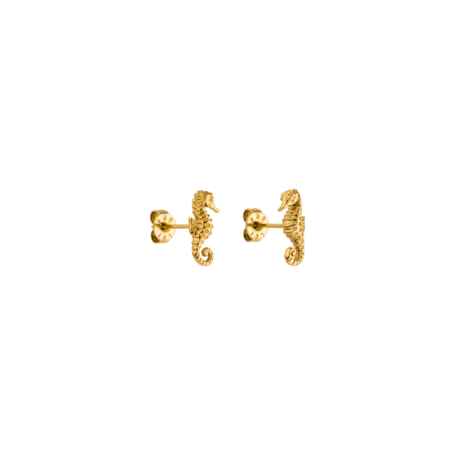 {"color":"Gold", "type":"lead_image"}