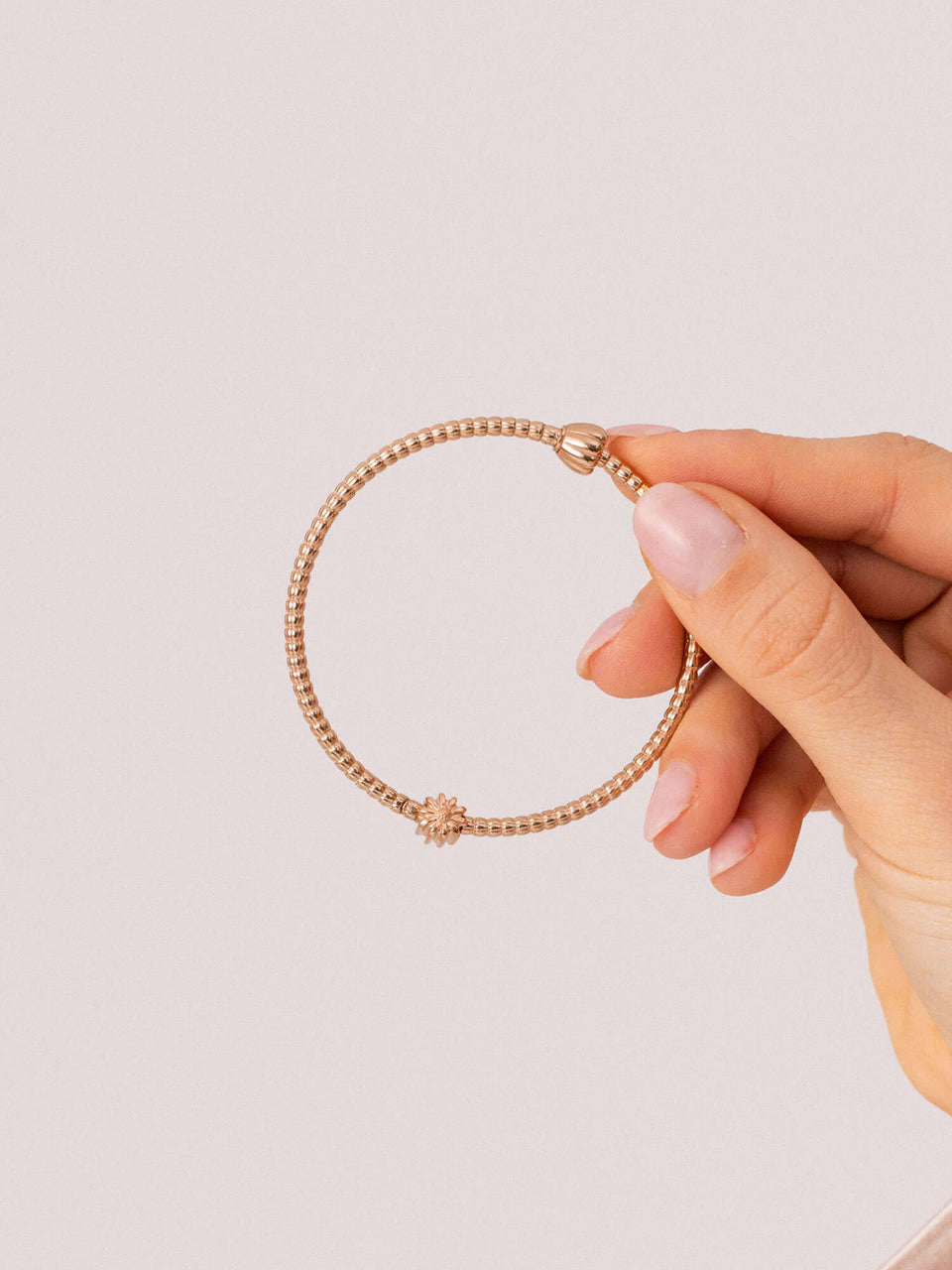 LEI Aster Charm - Geburtsblume September