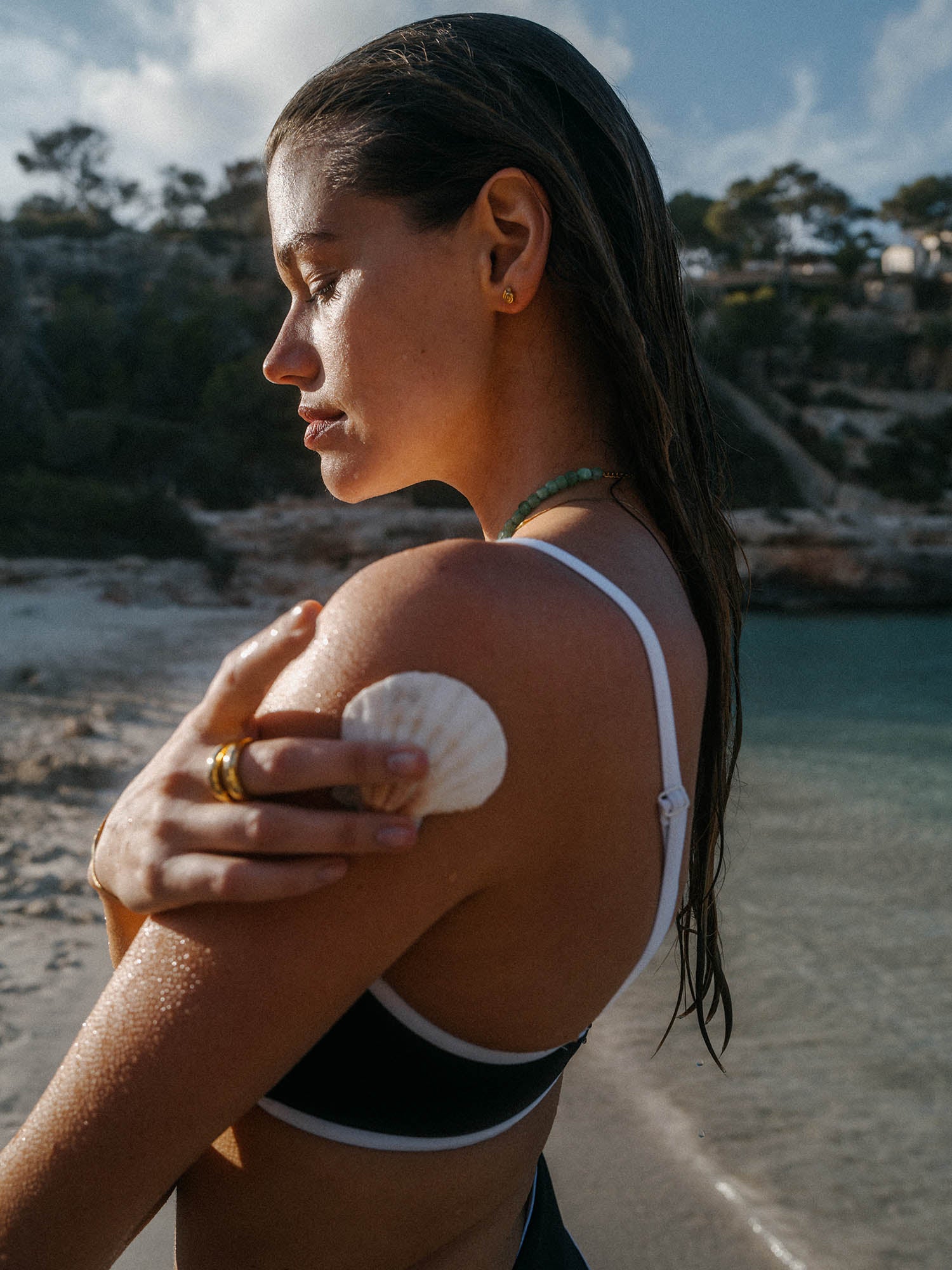 Sundial Shell Earrings