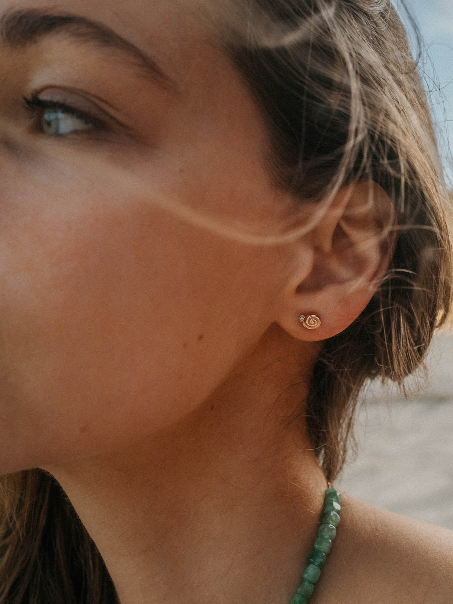 Sundial Shell Earrings