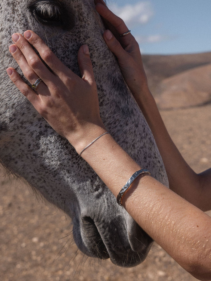 {"color":"Silver"}